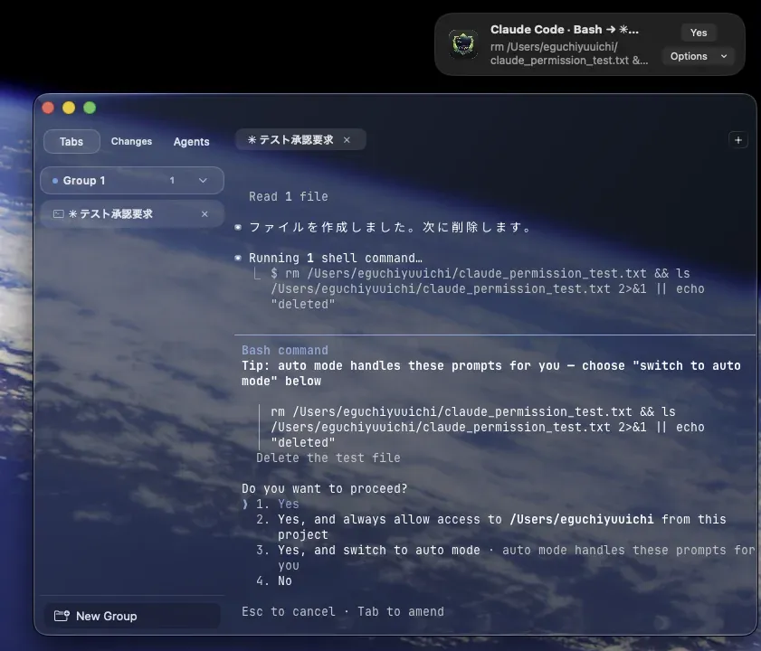 A permission request in a notification-style panel at the top right of the screen, with a primary action and an Options menu.